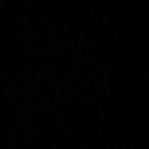 Meet your Posher, Ricky